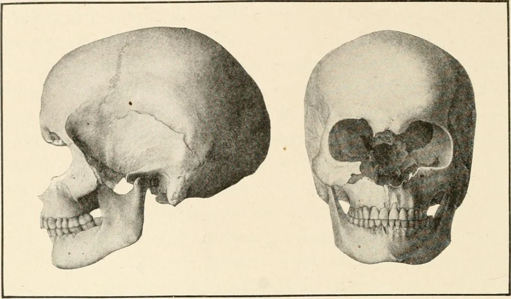 An illustration from Men of the old stone age : their environment, life and art, 1915, leaf 517