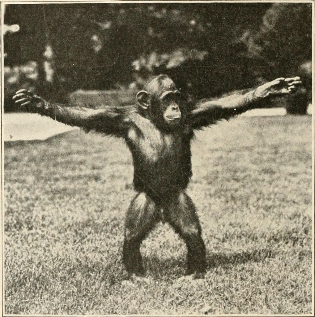 An illustration from Men of the old stone age : their environment, life and art, 1915, leaf 85