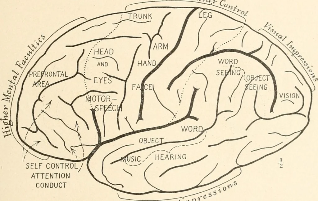 An illustration from Men of the old stone age : their environment, life and art, 1915, leaf 90