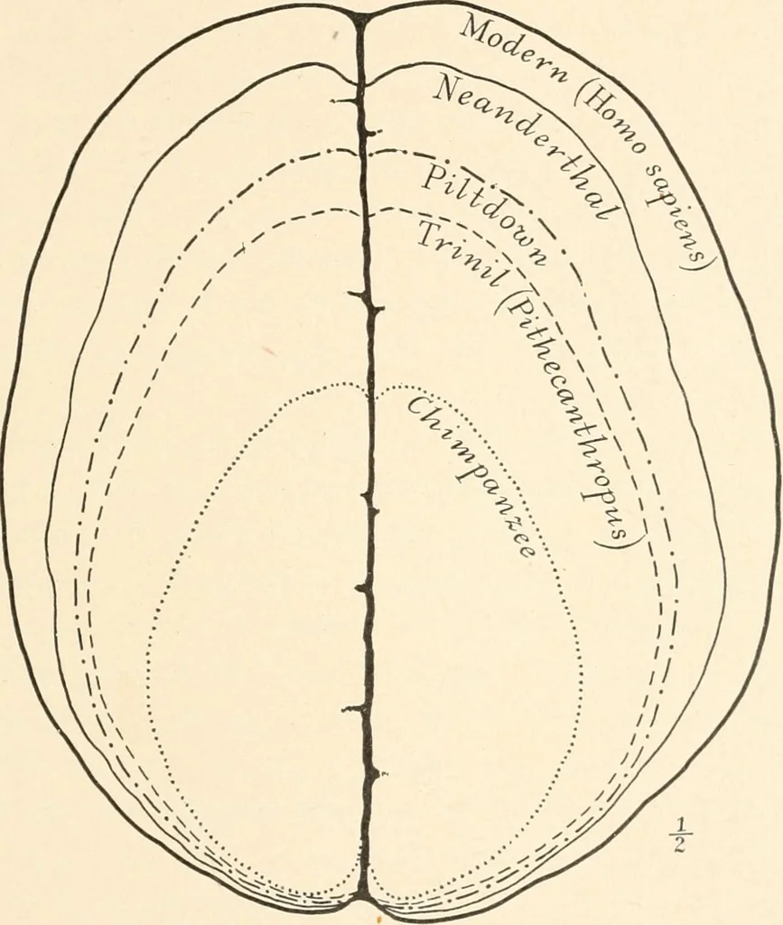 An illustration from Men of the old stone age : their environment, life and art, 1915, leaf 92
