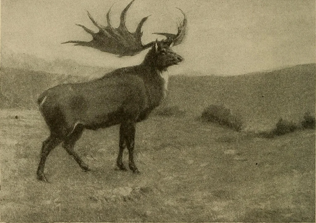 An illustration from Men of the old stone age, their environment, life and art, 1915, leaf 103