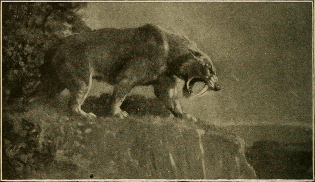 An illustration from Men of the old stone age, their environment, life and art, 1915, leaf 105