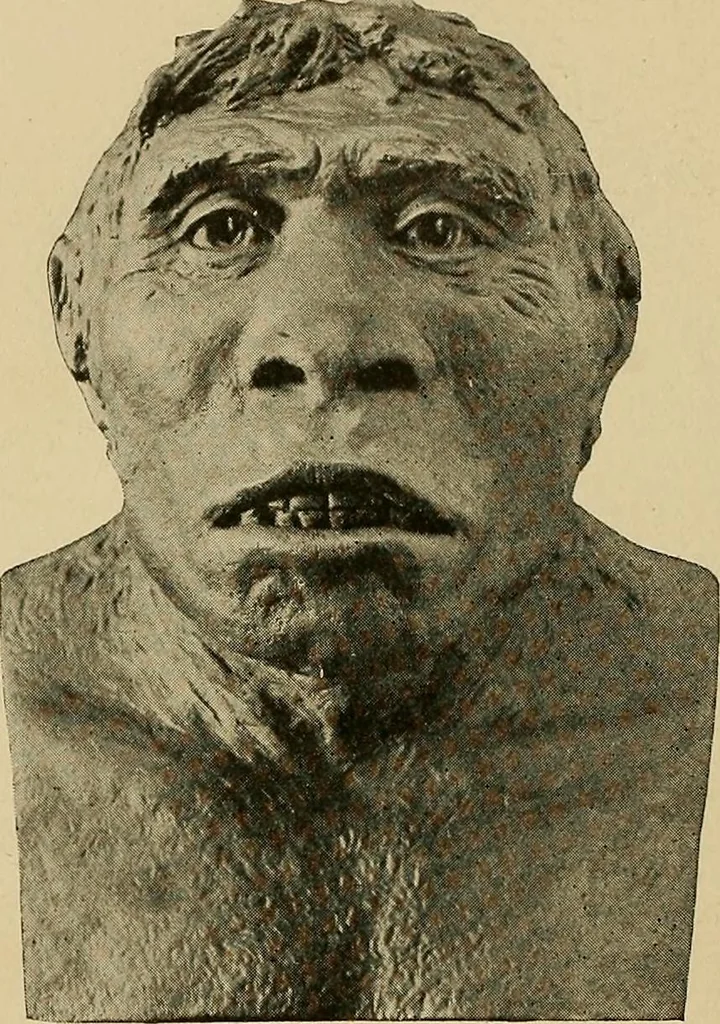 An illustration from Men of the old stone age, their environment, life and art, 1915, leaf 117