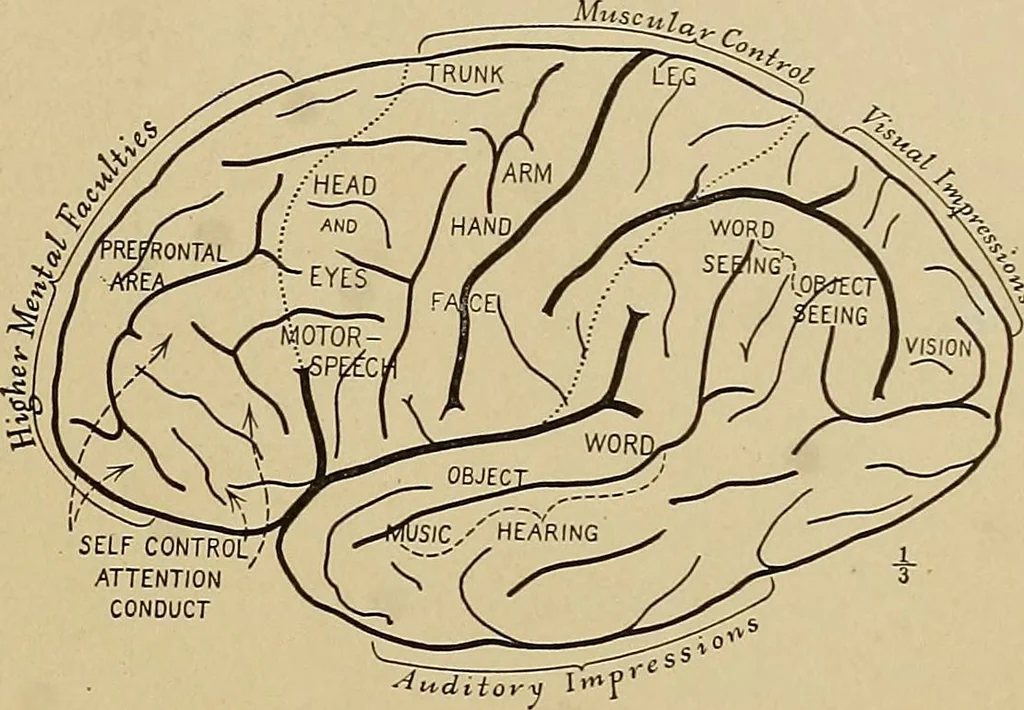 An illustration from Men of the old stone age, their environment, life and art, 1915, leaf 118