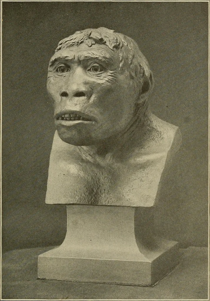 An illustration from Men of the old stone age, their environment, life and art, 1915, leaf 122