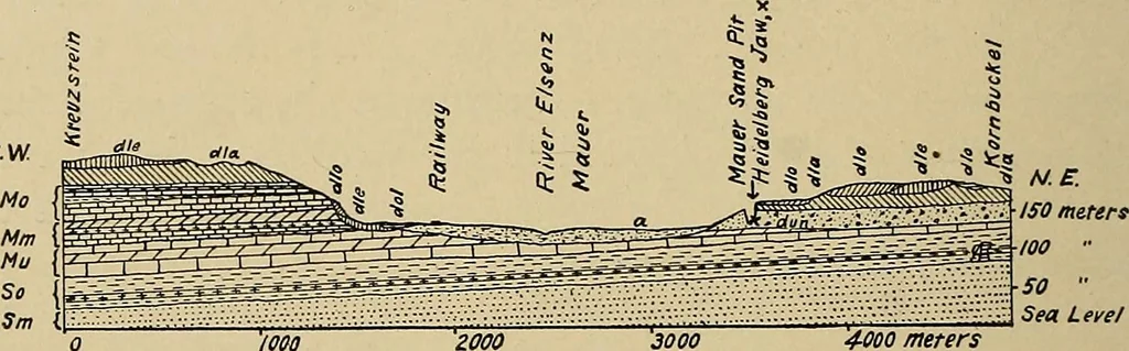 An illustration from Men of the old stone age, their environment, life and art, 1915, leaf 131
