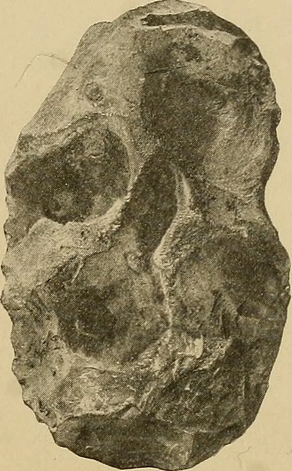 An illustration from Men of the old stone age, their environment, life and art, 1915, leaf 156