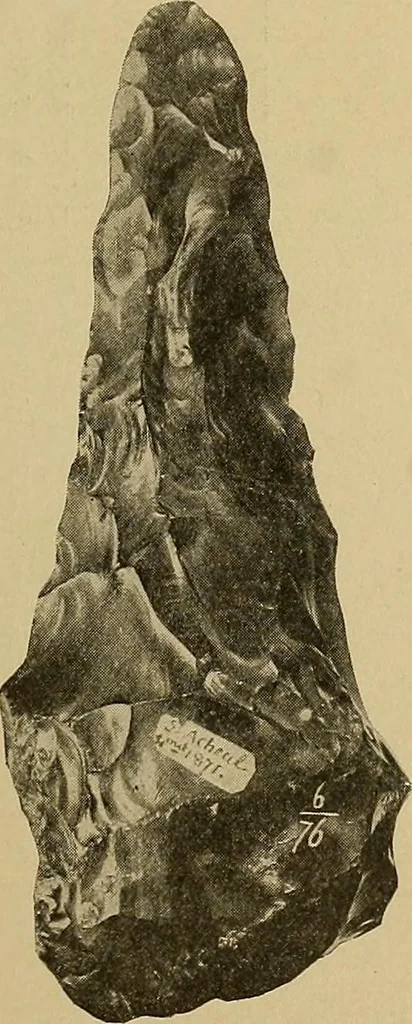 An illustration from Men of the old stone age, their environment, life and art, 1915, leaf 156