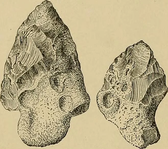 An illustration from Men of the old stone age, their environment, life and art, 1915, leaf 163