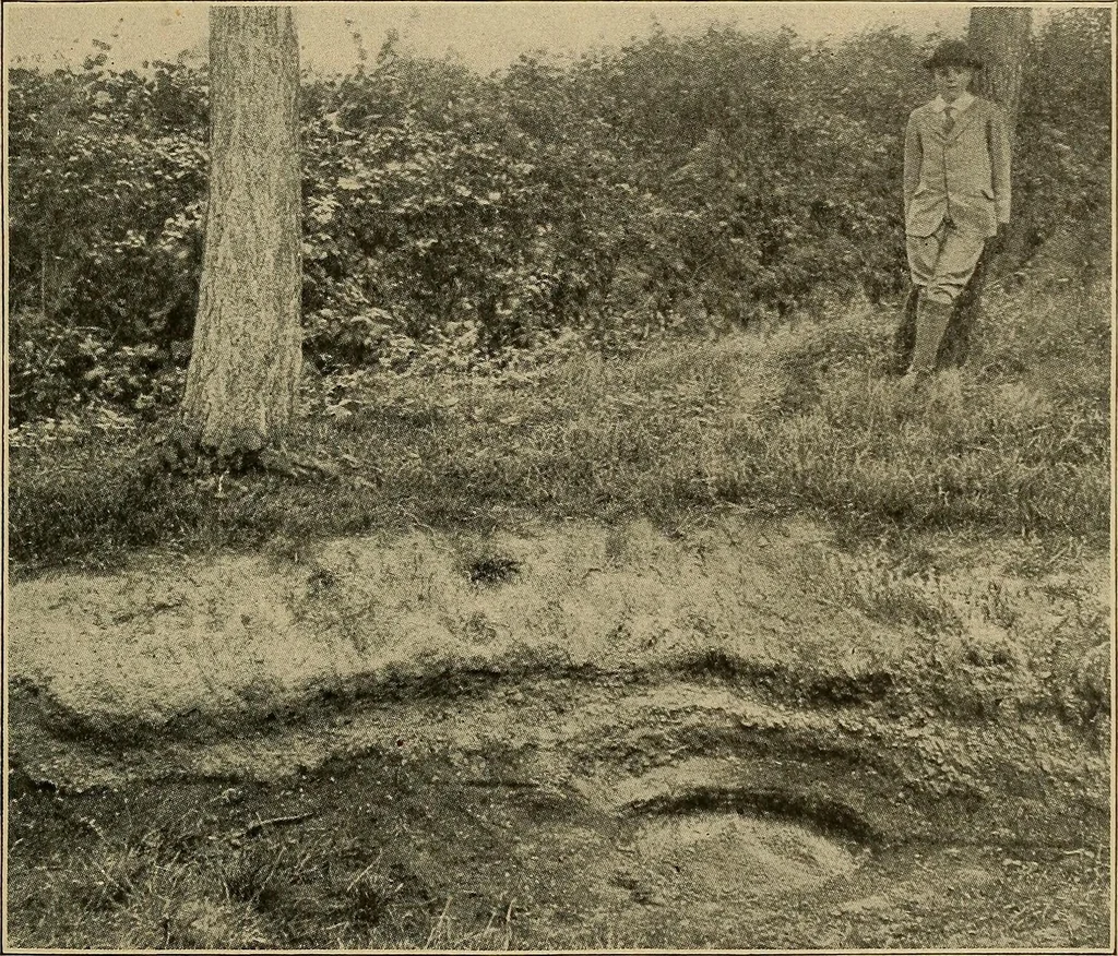 An illustration from Men of the old stone age, their environment, life and art, 1915, leaf 166