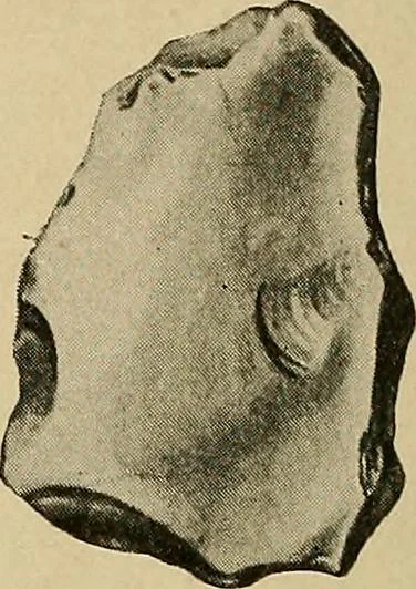 An illustration from Men of the old stone age, their environment, life and art, 1915, leaf 169