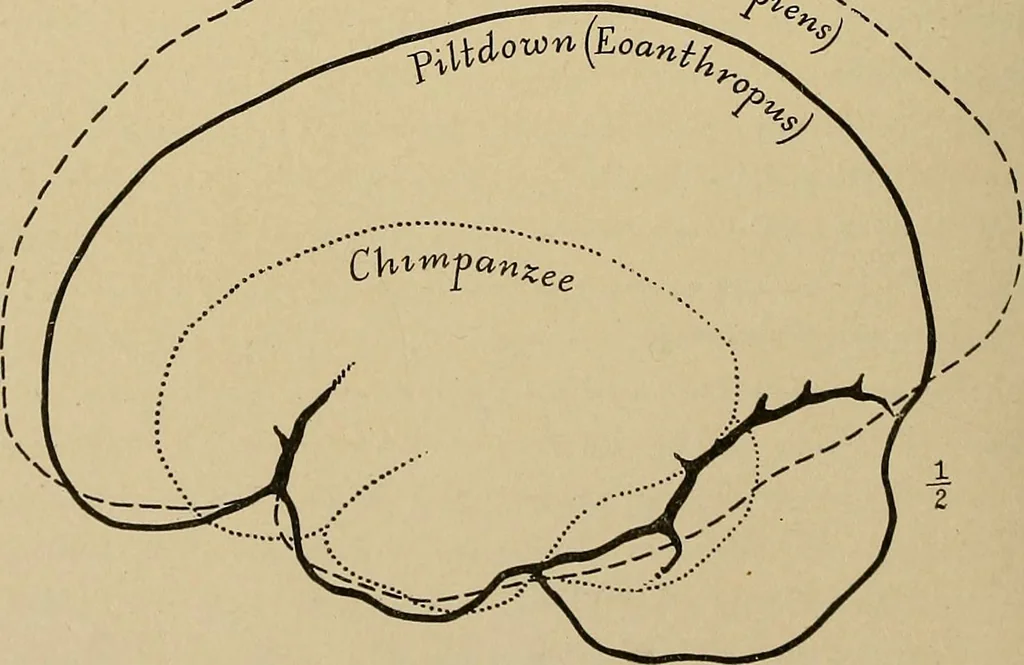 An illustration from Men of the old stone age, their environment, life and art, 1915, leaf 175