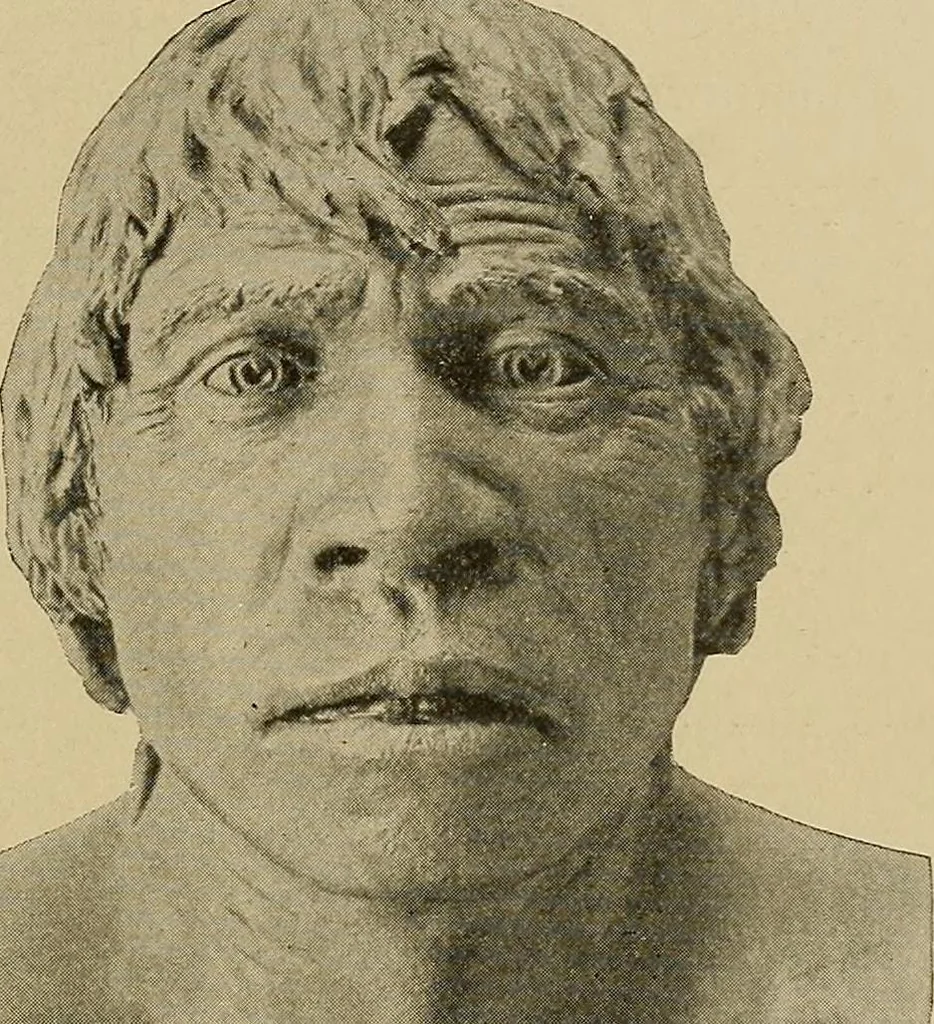 An illustration from Men of the old stone age, their environment, life and art, 1915, leaf 178