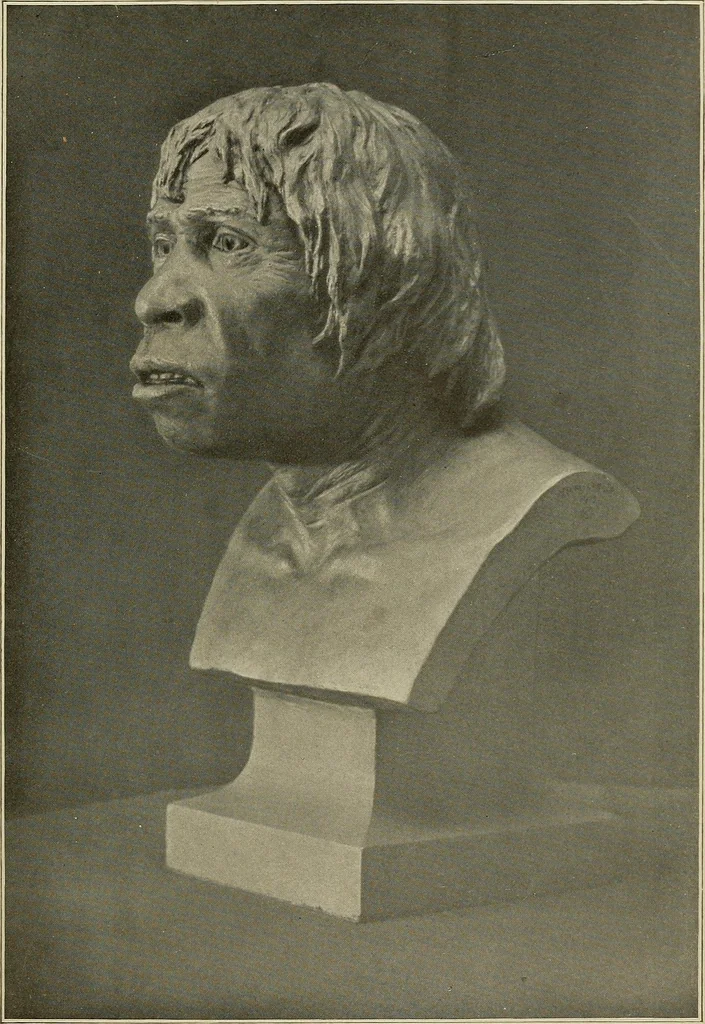 An illustration from Men of the old stone age, their environment, life and art, 1915, leaf 180