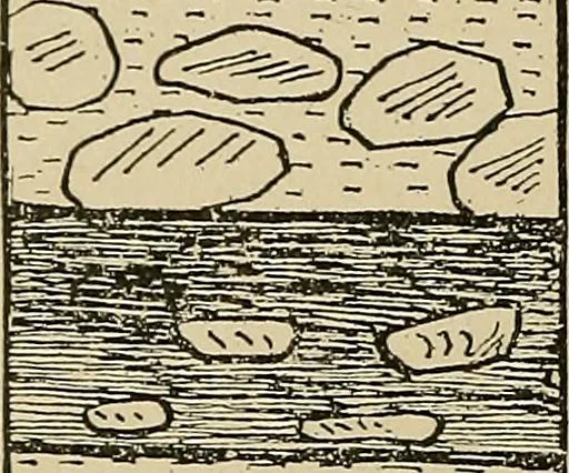 An illustration from Men of the old stone age, their environment, life and art, 1915, leaf 199