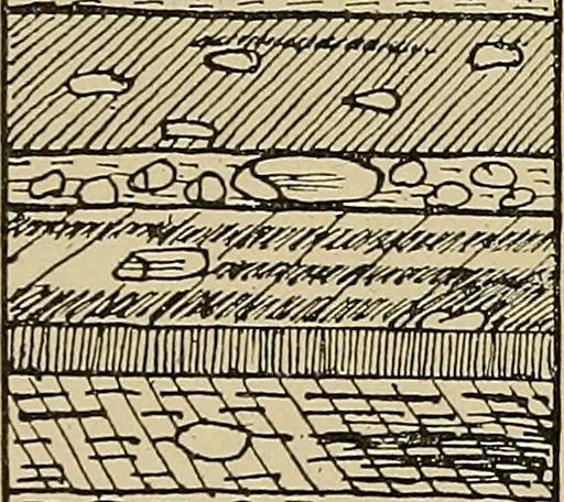 An illustration from Men of the old stone age, their environment, life and art, 1915, leaf 199