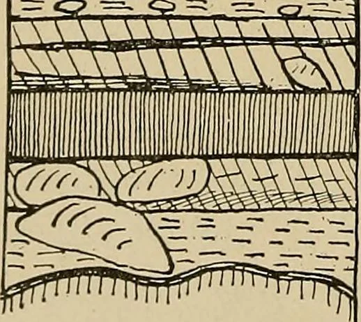 An illustration from Men of the old stone age, their environment, life and art, 1915, leaf 199