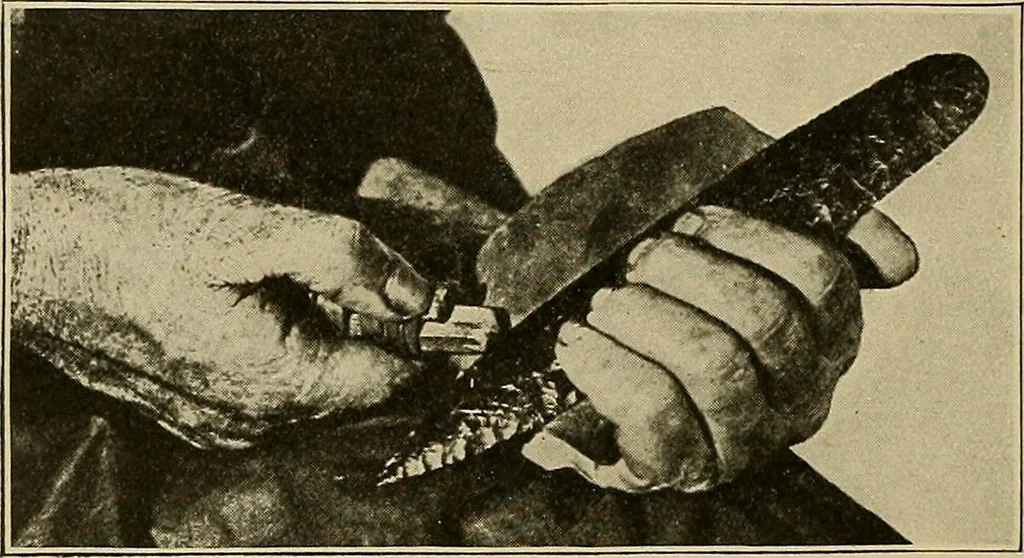 An illustration from Men of the old stone age, their environment, life and art, 1915, leaf 205