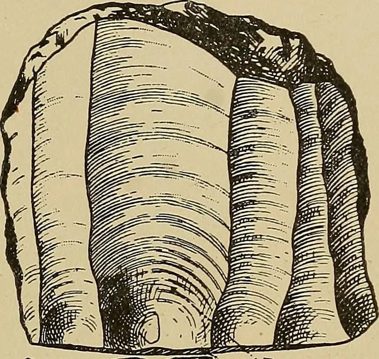 An illustration from Men of the old stone age, their environment, life and art, 1915, leaf 206