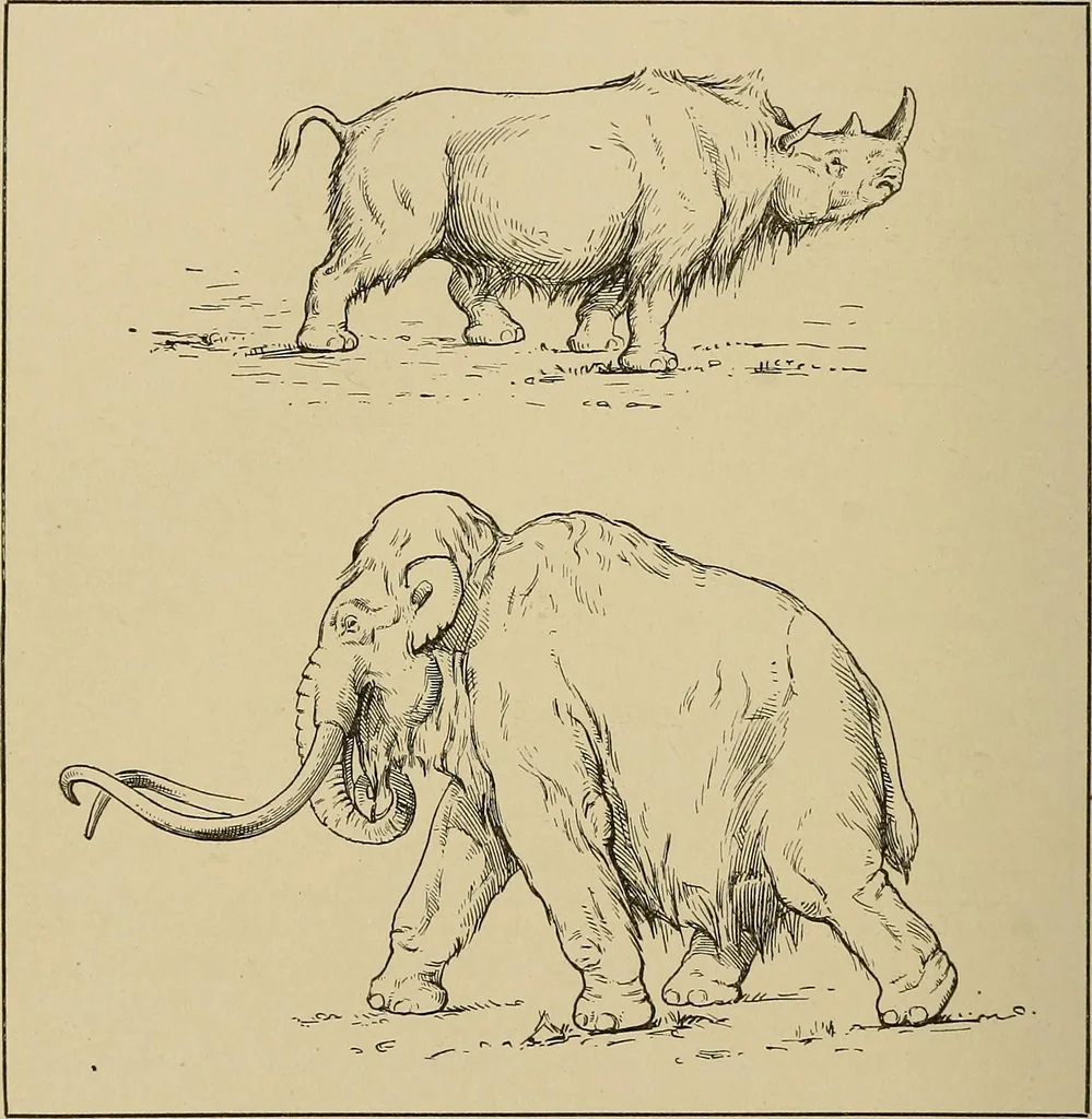 An illustration from Men of the old stone age, their environment, life and art, 1915, leaf 225