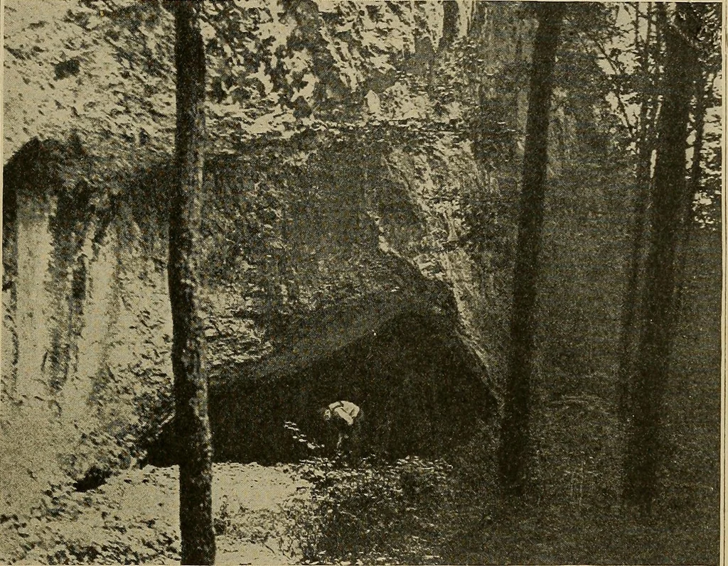 An illustration from Men of the old stone age, their environment, life and art, 1915, leaf 236
