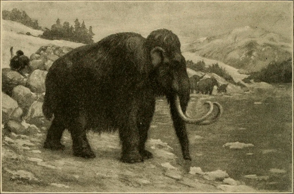 An illustration from Men of the old stone age, their environment, life and art, 1915, leaf 243