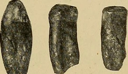 An illustration from Men of the old stone age, their environment, life and art, 1915, leaf 260