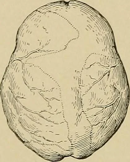 An illustration from Men of the old stone age, their environment, life and art, 1915, leaf 271