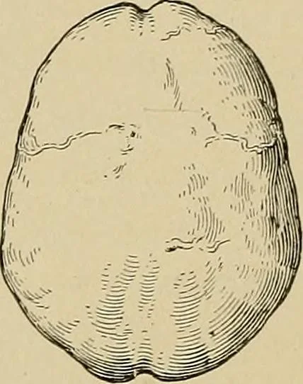 An illustration from Men of the old stone age, their environment, life and art, 1915, leaf 271