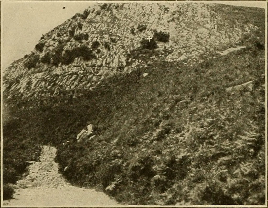 An illustration from Men of the old stone age, their environment, life and art, 1915, leaf 281