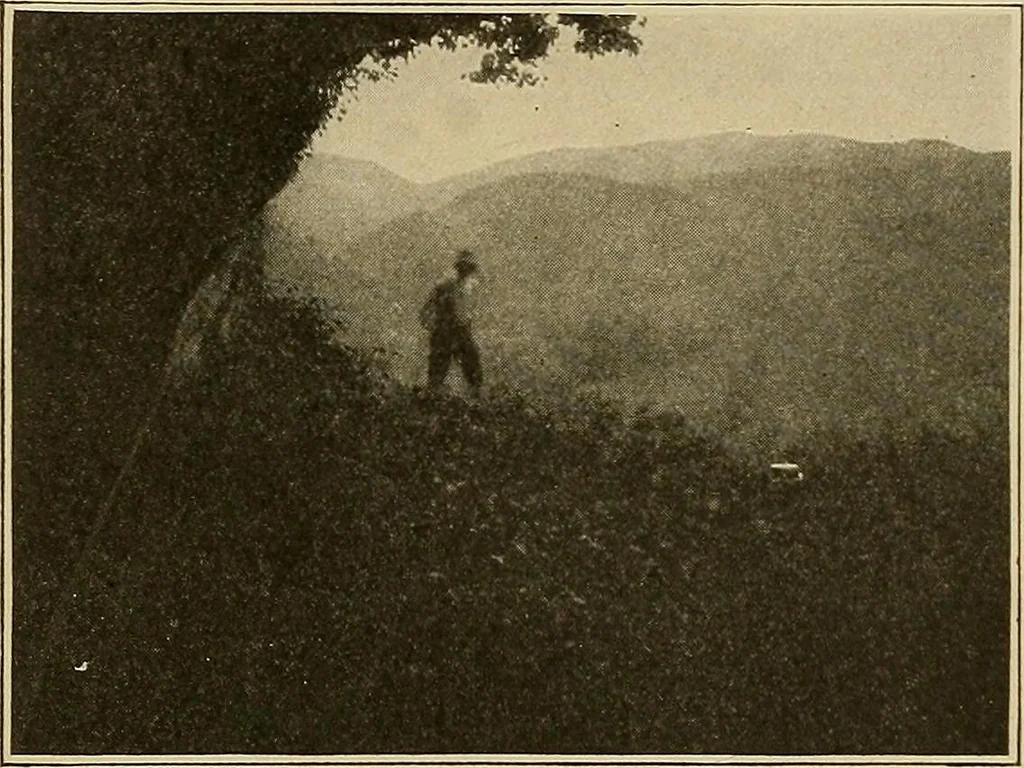 An illustration from Men of the old stone age, their environment, life and art, 1915, leaf 282