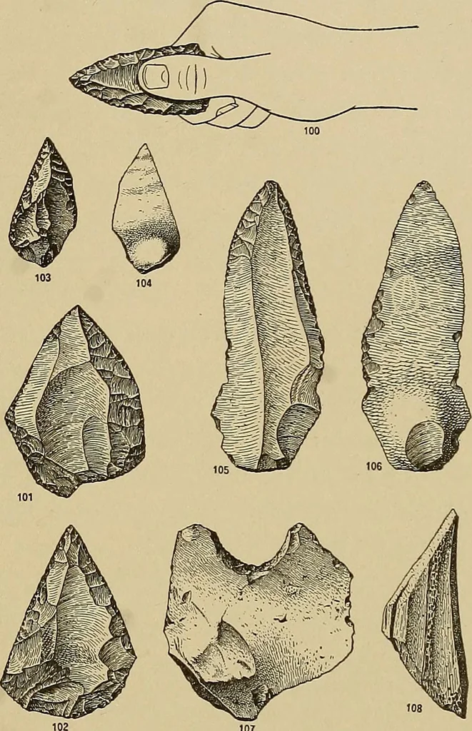 An illustration from Men of the old stone age, their environment, life and art, 1915, leaf 286