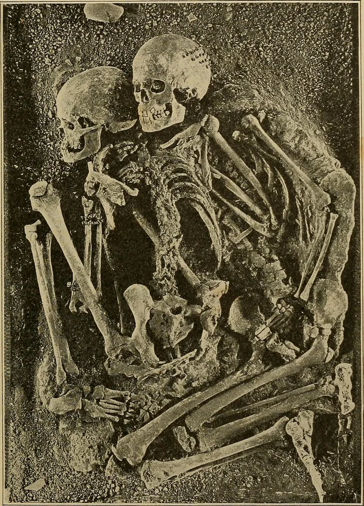 An illustration from Men of the old stone age, their environment, life and art, 1915, leaf 302