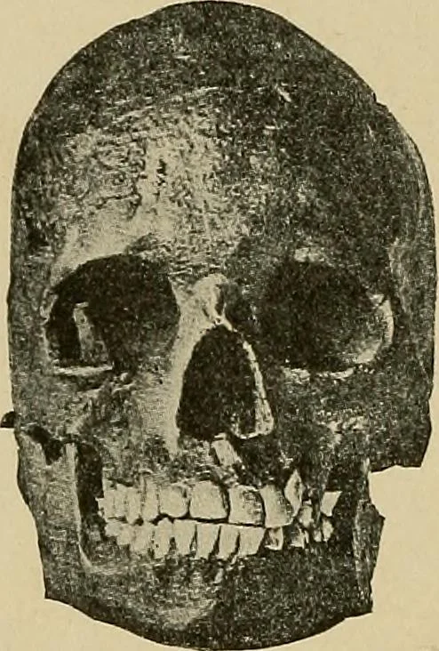 An illustration from Men of the old stone age, their environment, life and art, 1915, leaf 303