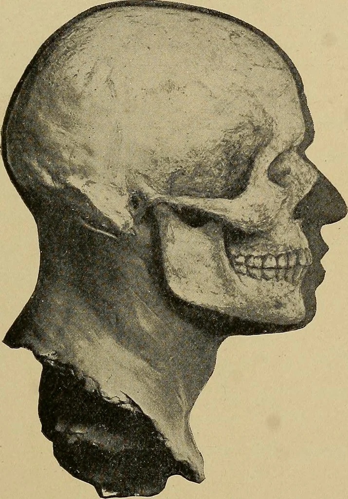 An illustration from Men of the old stone age, their environment, life and art, 1915, leaf 328