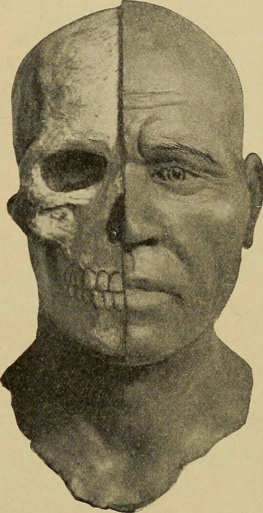An illustration from Men of the old stone age, their environment, life and art, 1915, leaf 328