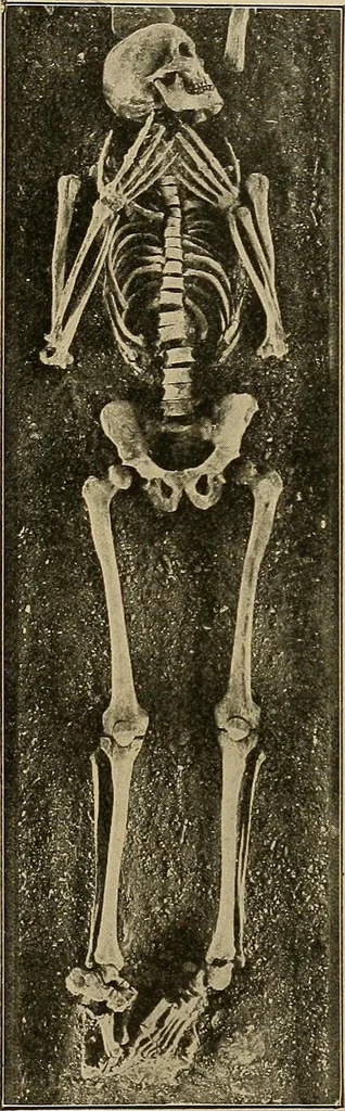 An illustration from Men of the old stone age, their environment, life and art, 1915, leaf 332