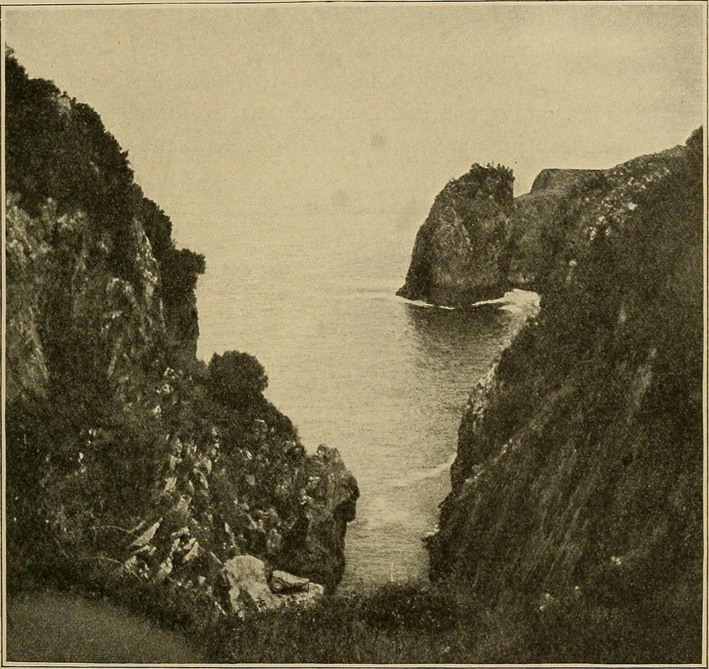 An illustration from Men of the old stone age, their environment, life and art, 1915, leaf 350