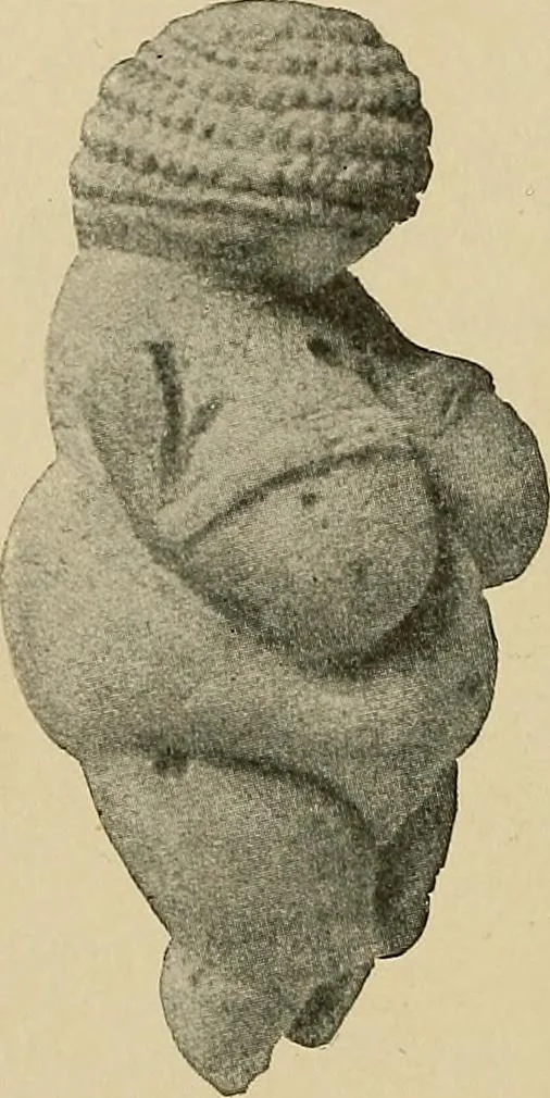 An illustration from Men of the old stone age, their environment, life and art, 1915, leaf 357