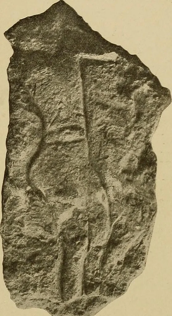 An illustration from Men of the old stone age, their environment, life and art, 1915, leaf 364