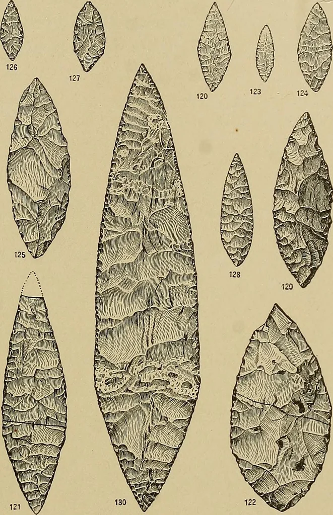 An illustration from Men of the old stone age, their environment, life and art, 1915, leaf 374
