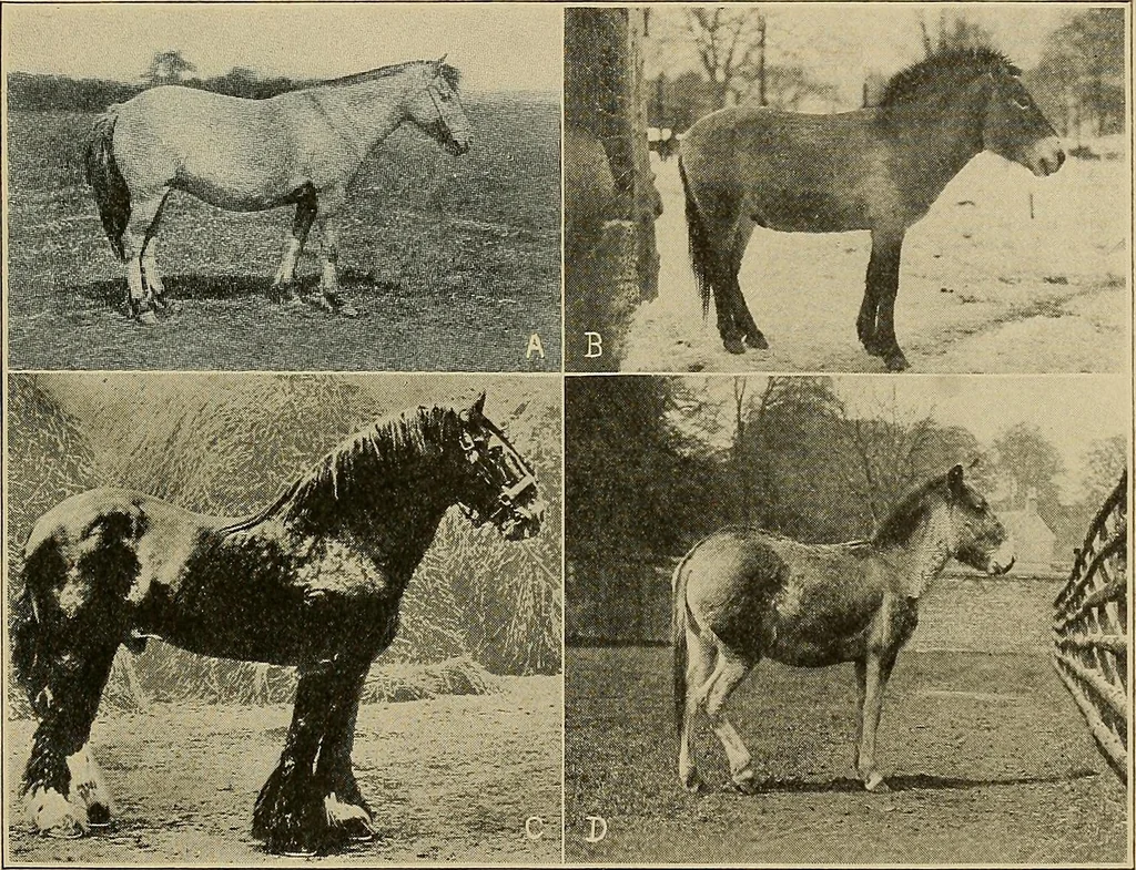 An illustration from Men of the old stone age, their environment, life and art, 1915, leaf 404