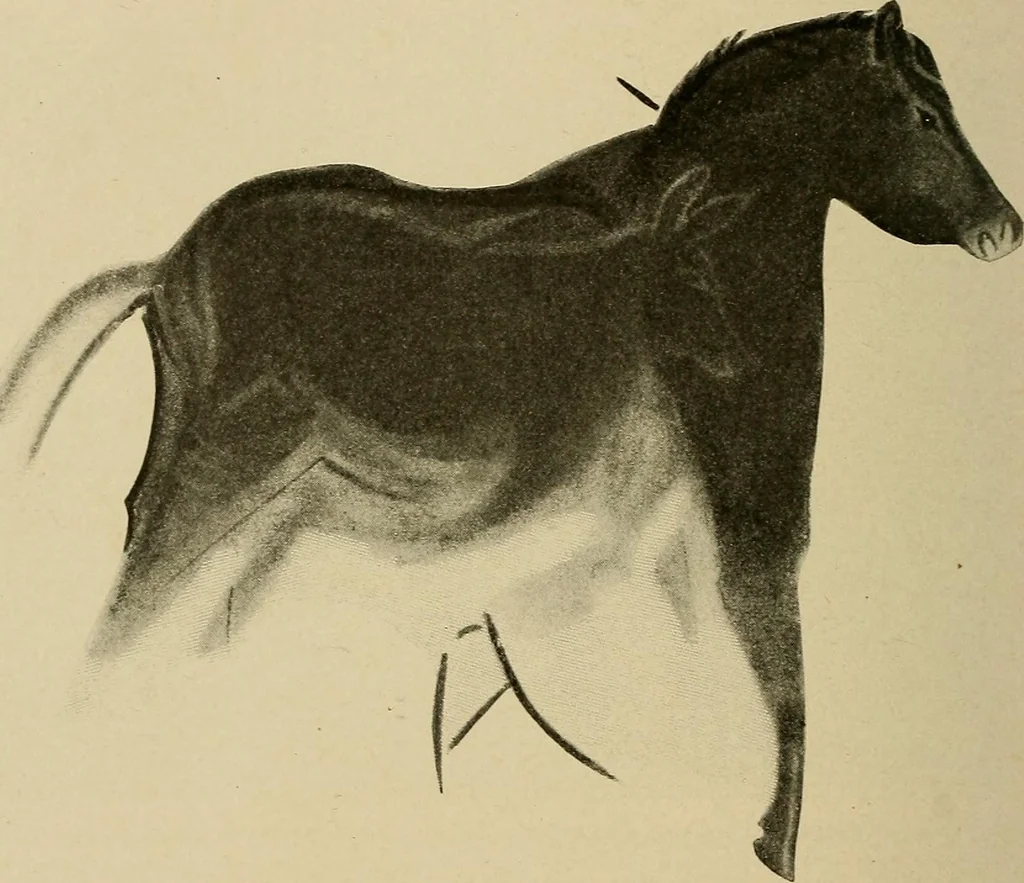 An illustration from Men of the old stone age, their environment, life and art, 1915, leaf 405
