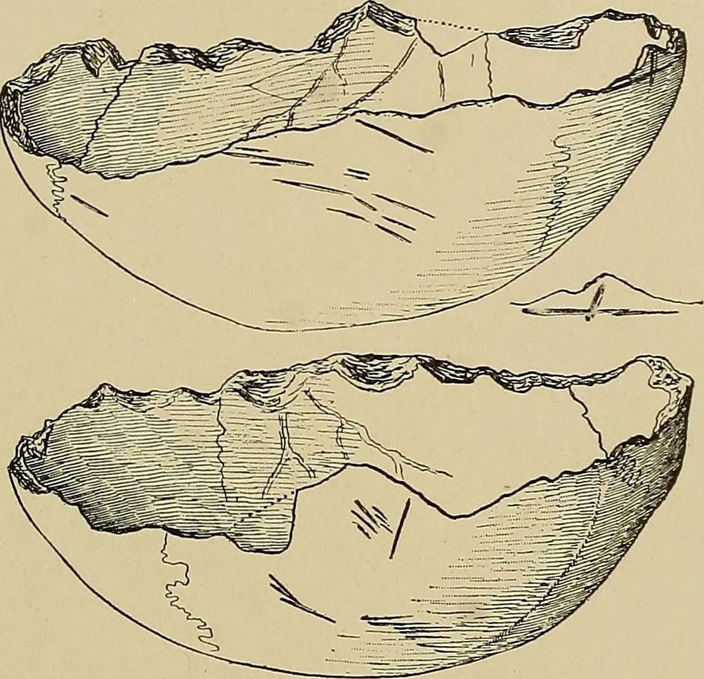 An illustration from Men of the old stone age, their environment, life and art, 1915, leaf 416
