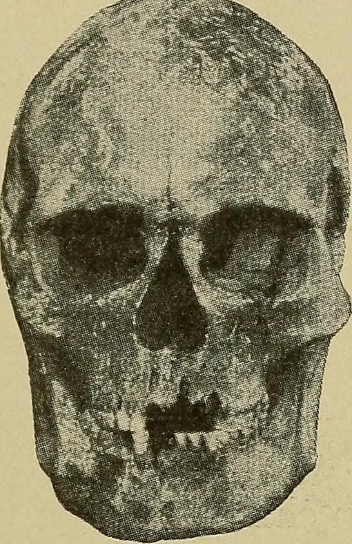 An illustration from Men of the old stone age, their environment, life and art, 1915, leaf 418