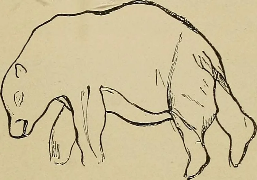 An illustration from Men of the old stone age, their environment, life and art, 1915, leaf 438
