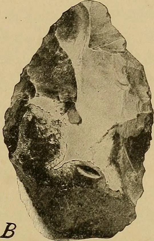 An illustration from Men of the old stone age, their environment, life and art, 1915, leaf 44
