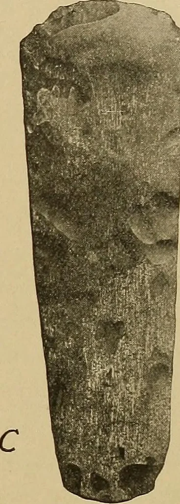An illustration from Men of the old stone age, their environment, life and art, 1915, leaf 44