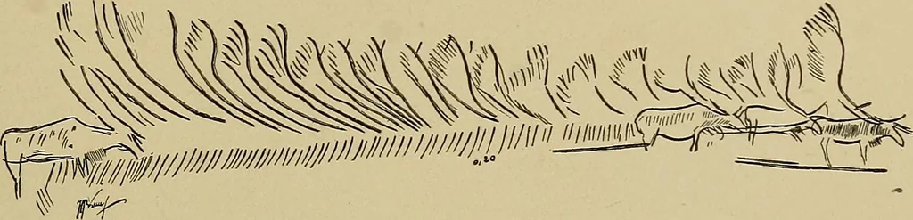An illustration from Men of the old stone age, their environment, life and art, 1915, leaf 442