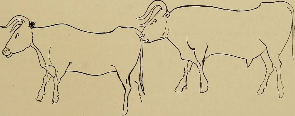 An illustration from Men of the old stone age, their environment, life and art, 1915, leaf 450